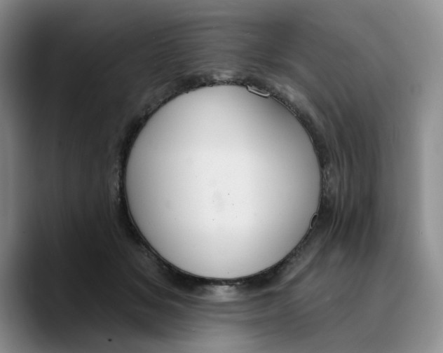X0000089680509200707201702