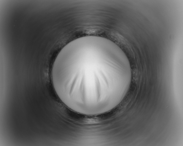 X0000089680510200707201702