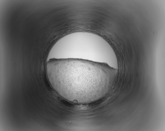 X0000089680511200707201702