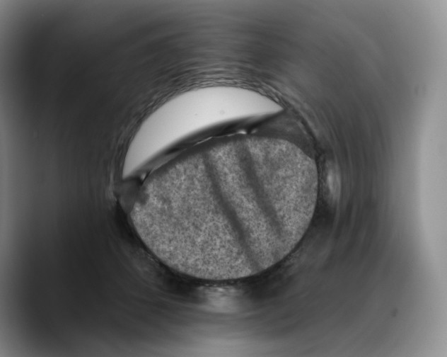 X0000089680512200707201702