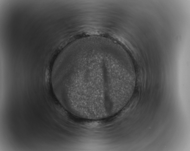 X0000089680513200707201702