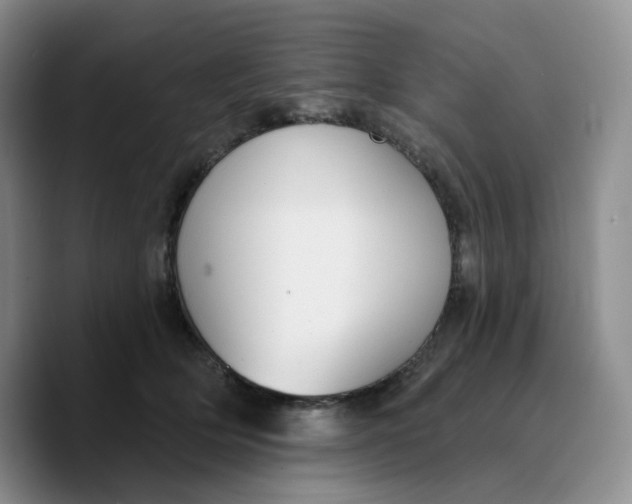 X0000089680514200707201702