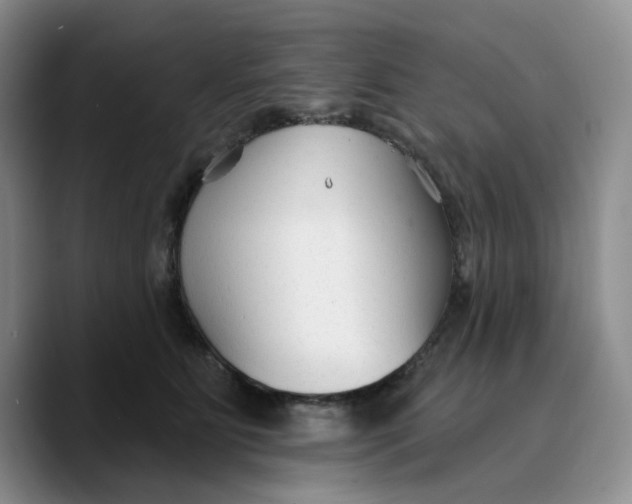 X0000089680515200707201702