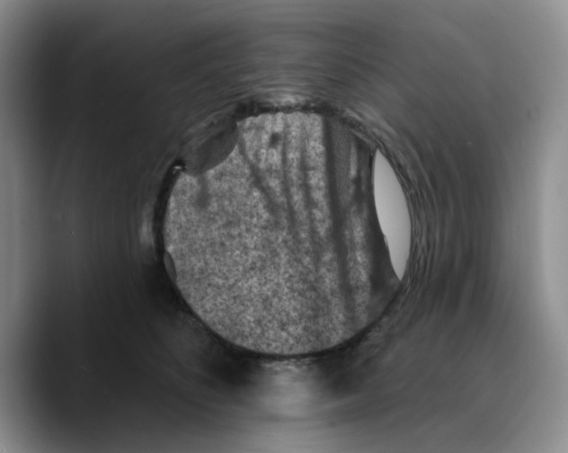 X0000089680516200707201702