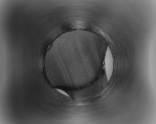 X0000089680517200707201702