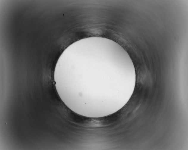 X0000089680518200707201702