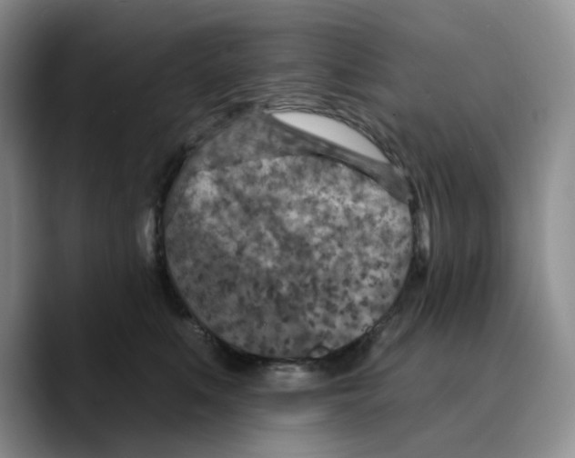 X0000089680519200707201702