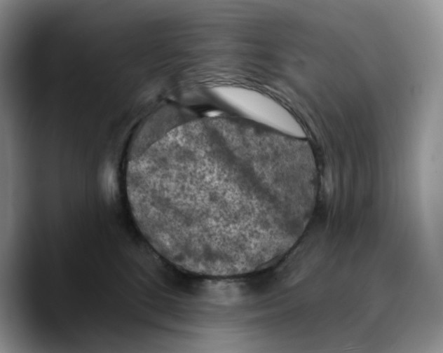 X0000089680520200707201702