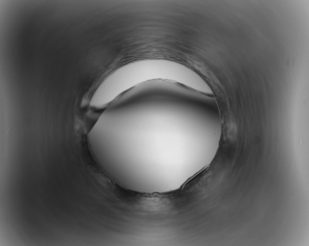 X0000089680521200707201702