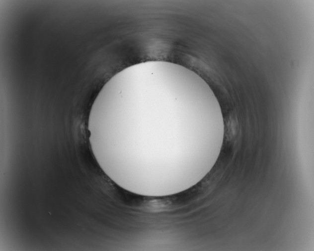 X0000089680522200707201702