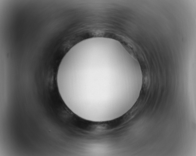 X0000089680525200707201702