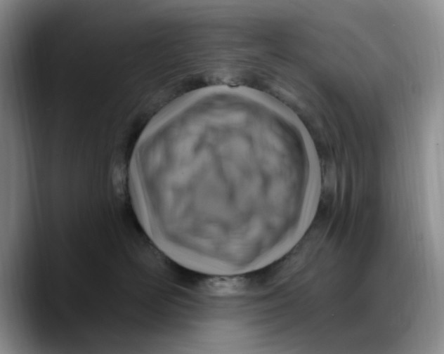 X0000089680526200707201702