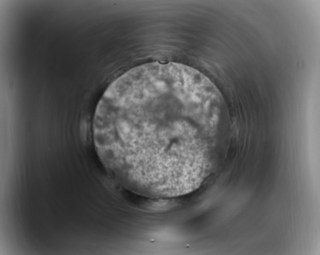 X0000089680527200707201702