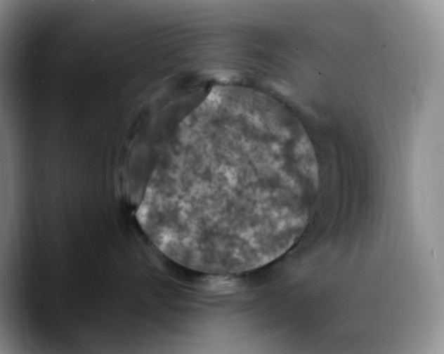X0000089680528200707201702