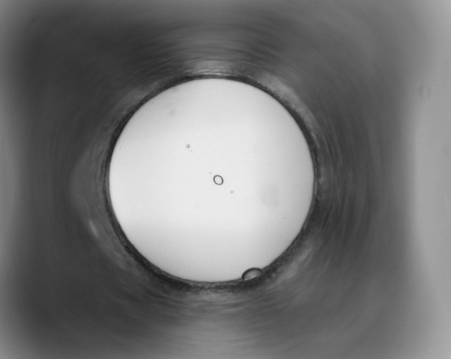 X0000089680529200707201702
