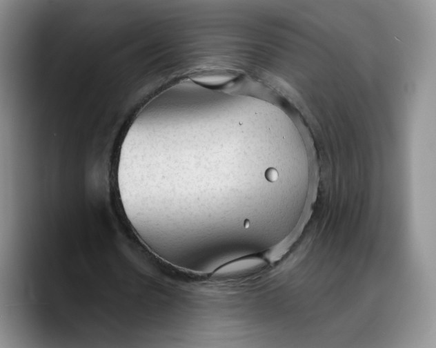 X0000089680530200707201702