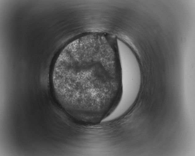 X0000089680531200707201702