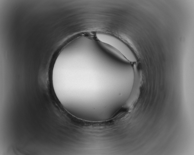 X0000089680532200707201702