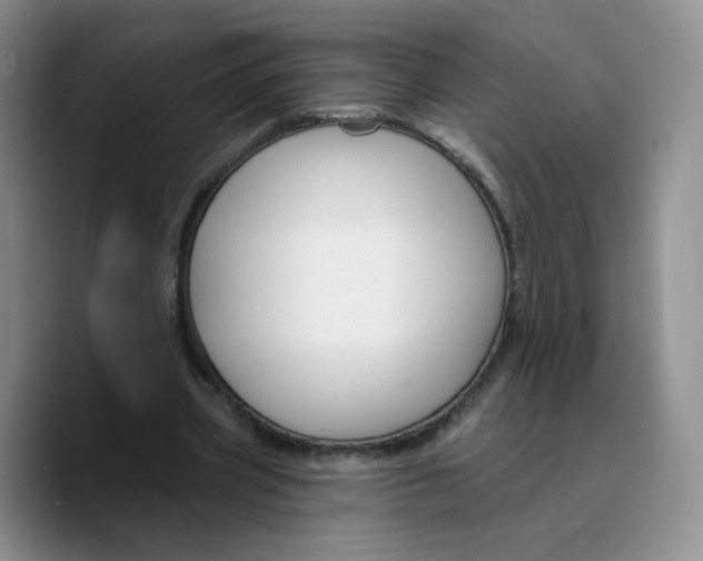 X0000089680533200707201702
