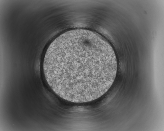 X0000089680534200707201702