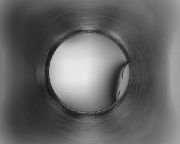 X0000089680535200707201702