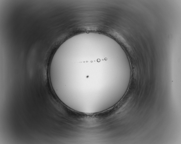 X0000089680537200707201702