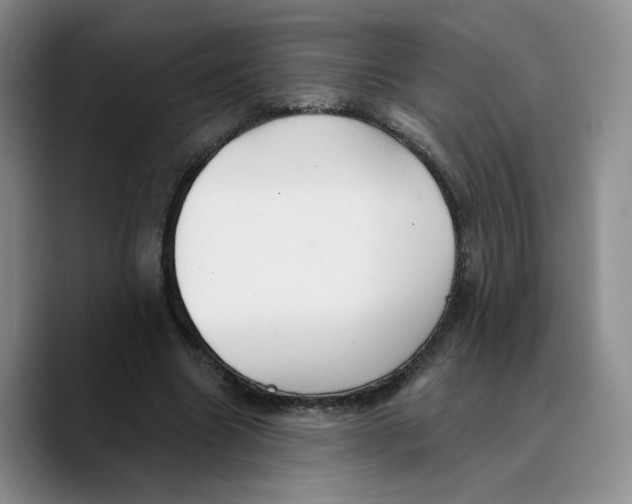 X0000089680538200707201702