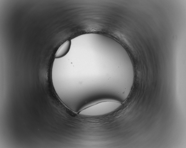 X0000089680539200707201702