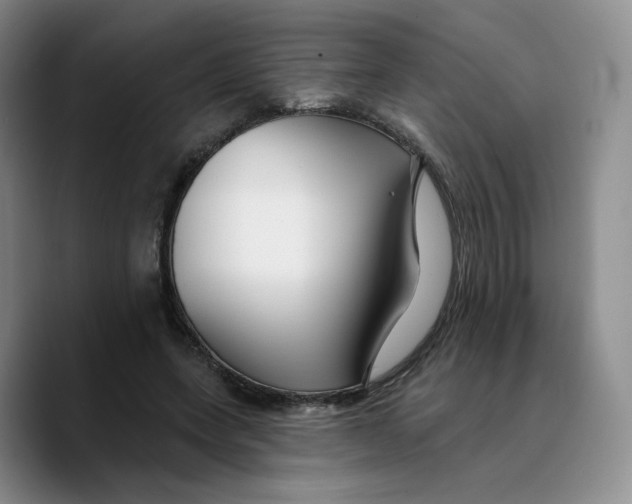 X0000089680543200707201702