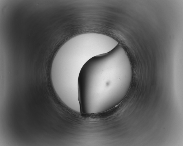 X0000089680546200707201702