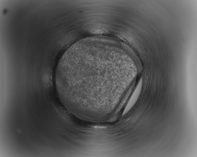 X0000089680547200707201702