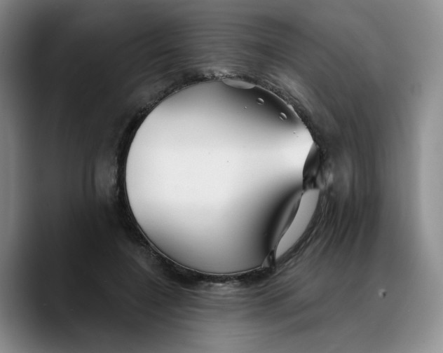X0000089680548200707201702