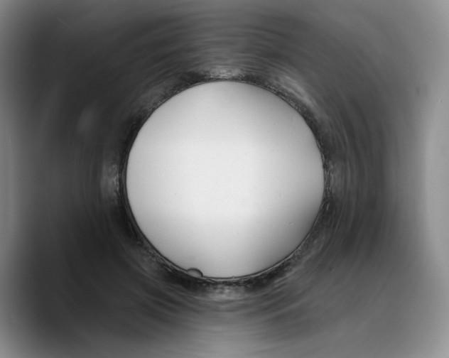 X0000089680549200707201702