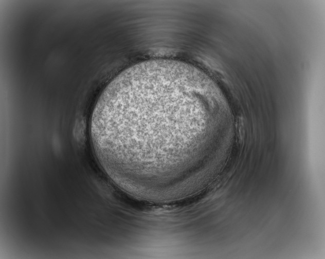 X0000089680550200707201702