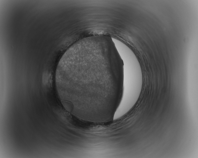 X0000089680551200707201702