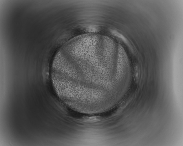 X0000089680553200707201702