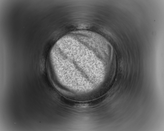 X0000089680554200707201702