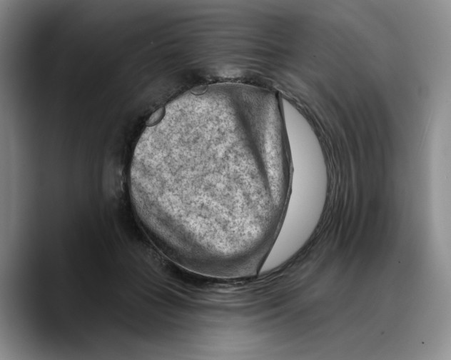 X0000089680555200707201702