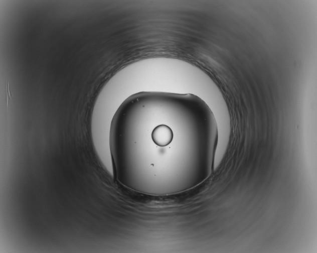 X0000089680556200707201702