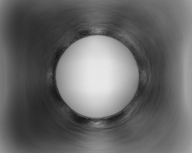 X0000089680557200707201702