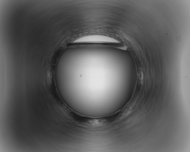 X0000089680558200707201702