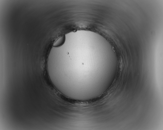 X0000089680559200707201702
