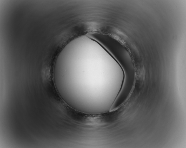 X0000089680560200707201702