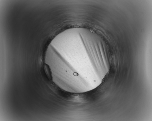 X0000089680564200707201702