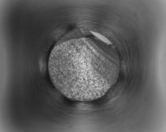 X0000089680568200707201702