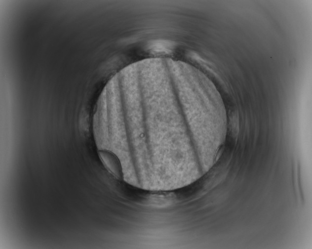 X0000089680571200707201702