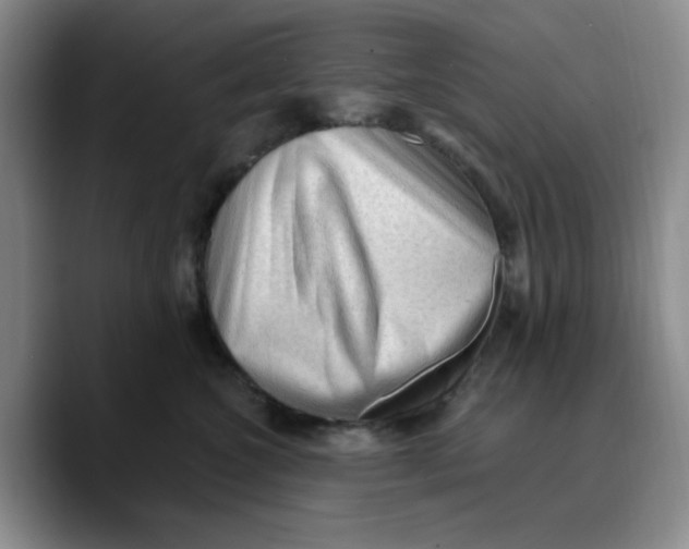 X0000089680572200707201702