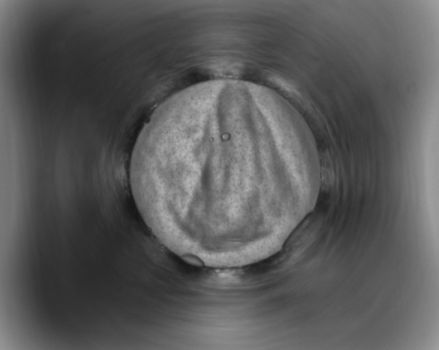 X0000089680573200707201702