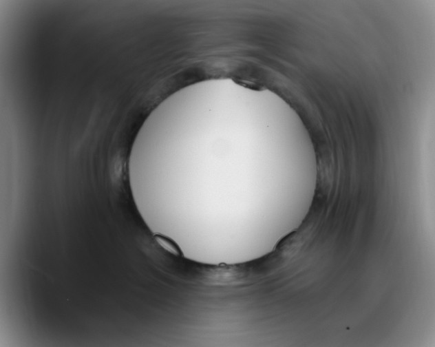 X0000089680574200707201702