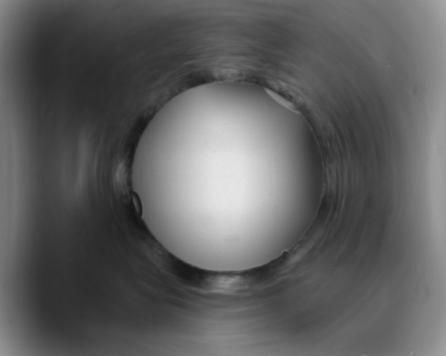 X0000089680575200707201702